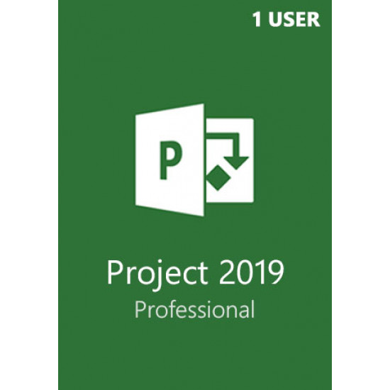 Microsoft Project Professional 2019 1 User