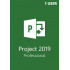 Microsoft Project Professional 2019 1 User
